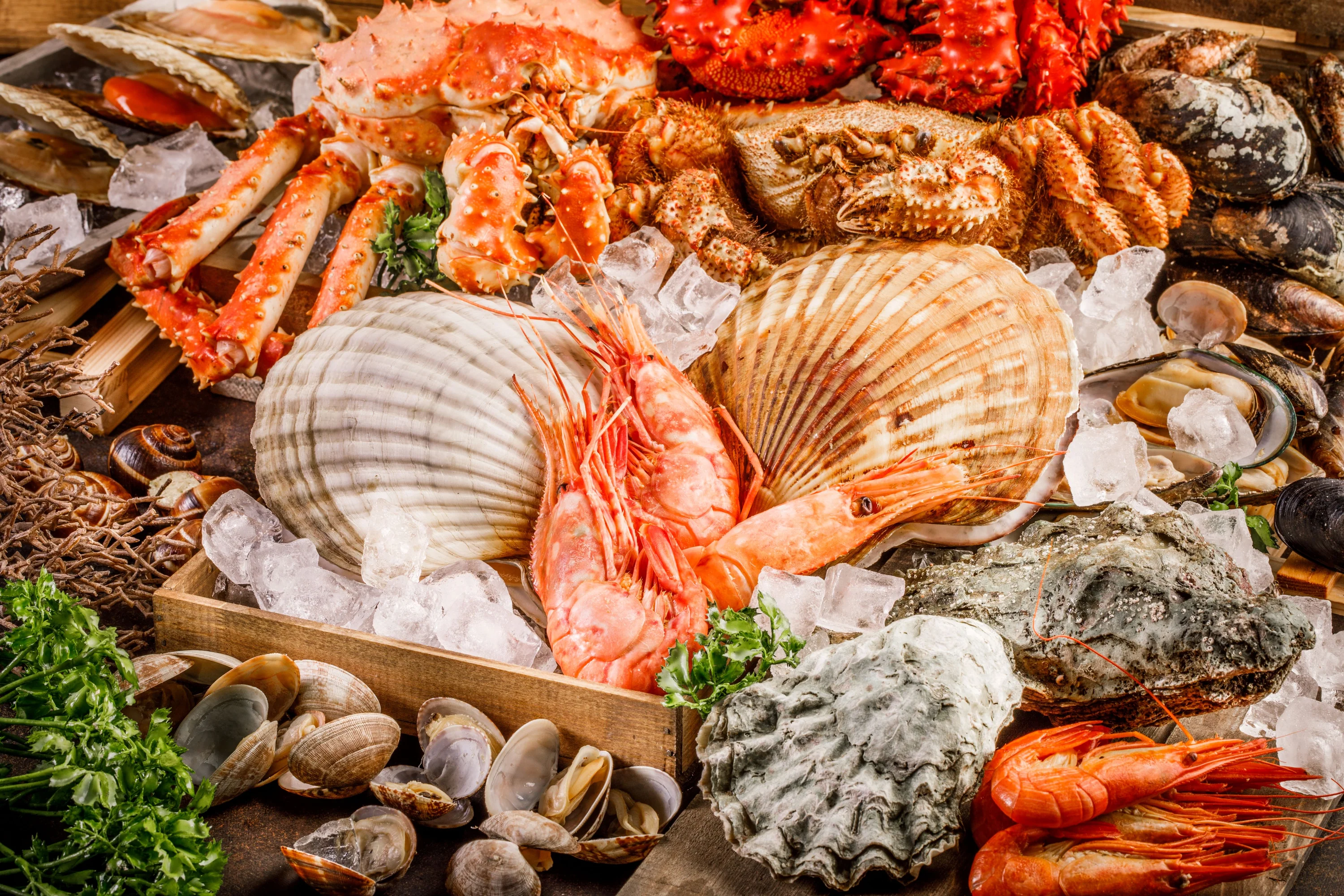 Premium Japanese Sashimi and Ingredients